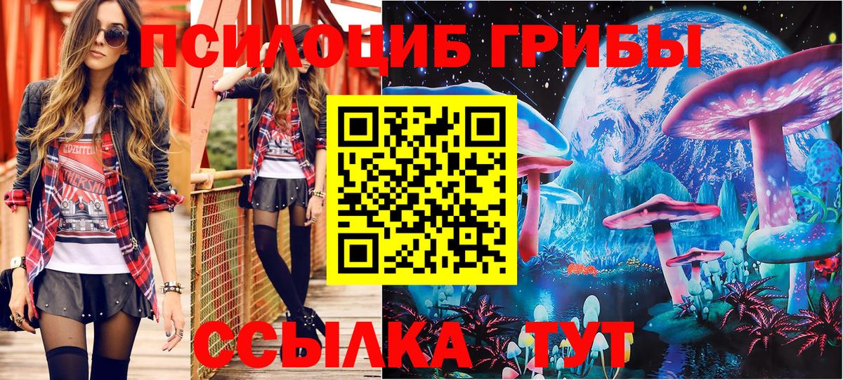 Галлюциногенные грибы мухоморы Магнитогорск