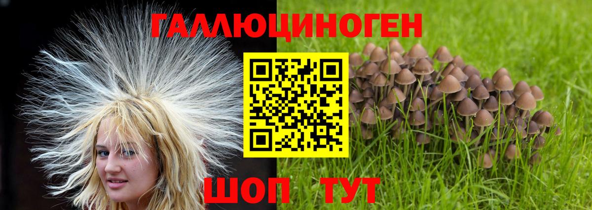 Магнитогорск  Псилоцибиновые грибы ЛСД  Вход с VPN 